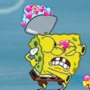 Meet your Posher, Riley